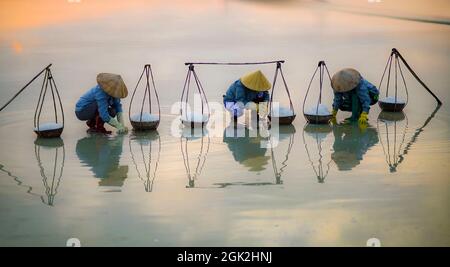 Bel campo di sale nella provincia di Khanh Hoa nel Vietnam centrale Foto Stock