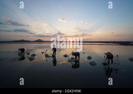 Bel campo di sale nella provincia di Khanh Hoa nel Vietnam centrale Foto Stock