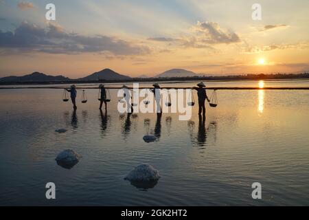 Bel campo di sale nella provincia di Khanh Hoa nel Vietnam centrale Foto Stock