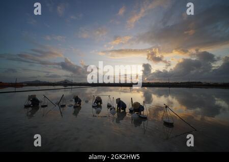 Bel campo di sale nella provincia di Khanh Hoa nel Vietnam centrale Foto Stock