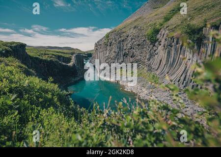 Panoramica del canyon Studlagil in Islanda, pittoresca valle con colonne di basalto in una calda giornata estiva. Colpo preso attraverso erba Foto Stock