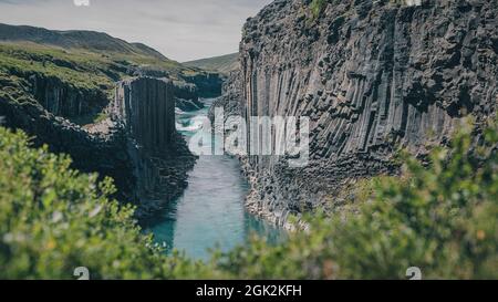 Panoramica del canyon Studlagil in Islanda, pittoresca valle con colonne di basalto in una calda giornata estiva. Colpo preso attraverso erba Foto Stock