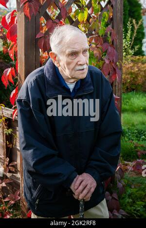 ritratto di un vecchio uomo dai capelli grigi in autunno. uomo dai capelli grigi di 88 anni con una canna sullo sfondo di belle foglie autunnali, primo piano Foto Stock