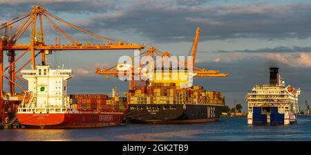 Baltic Container Terminal Gdynia alla luce del sole che tramonta Foto Stock