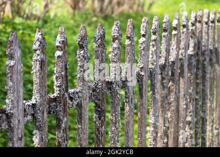 Vecchia recinzione grigia in legno con lichen che cresce su di esso, rurale russo dettagli di architettura, foto di sfondo Foto Stock