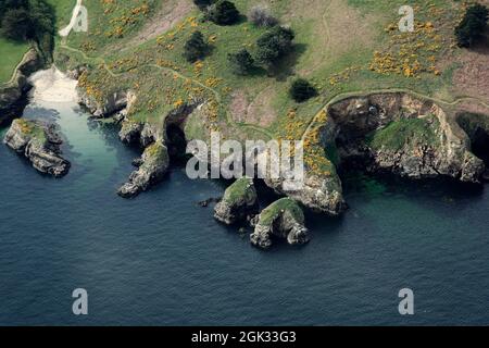 FRANCIA MORBIHAN (56), ISOLA DI BELLE-ILE. Foto Stock