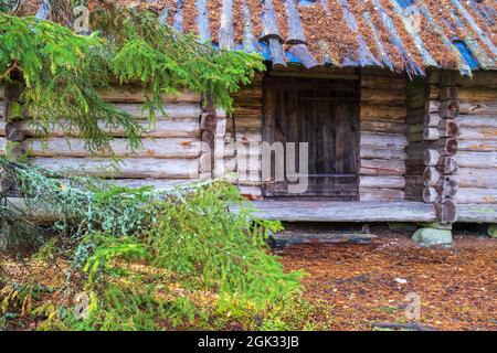 Old log cabin nel bosco Foto Stock