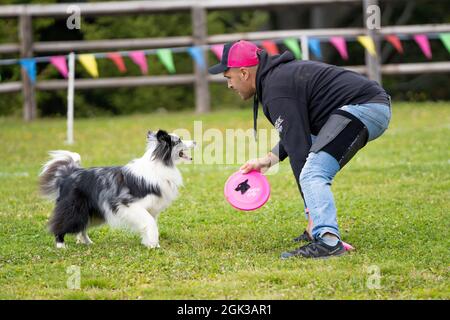 Disco Dog. Un animale domestico e il suo amico umano durante uno spettacolo di Frisbee Dog. Foto Stock