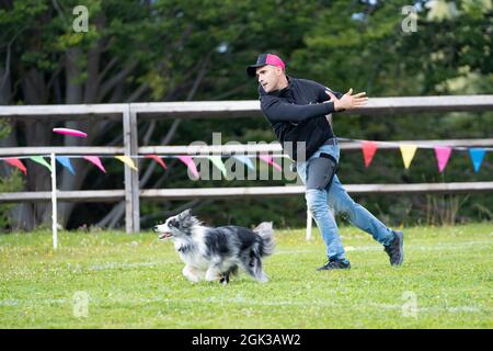 Disco Dog. Un animale domestico e il suo amico umano durante uno spettacolo di Frisbee Dog. Foto Stock