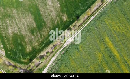 Strada sterrata lungo il canale di melorazione abbandonato. Terreno agricolo, vista aerea. Foto Stock
