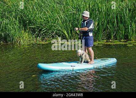 Uomo e cane a pagaia sul fiume Ouse Cambridgeshire. Foto Stock