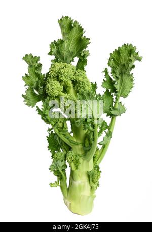 Rabini freschi o broccoli isolati su sfondo bianco Foto Stock