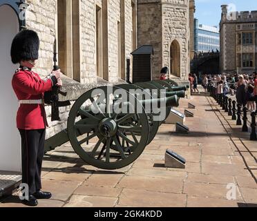 Una Guardia scozzese tiene la sua pistola mentre è in servizio a Waterloo Barracks, Tower of London, accanto a una serie di pistole francesi catturate nella battaglia di waterloo. Foto Stock