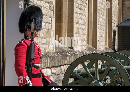 Primo piano di una Guardia scozzese in servizio a Waterloo Barracks, Torre di Londra, accanto a una serie di cannoni francesi catturati nella battaglia di waterloo. Foto Stock