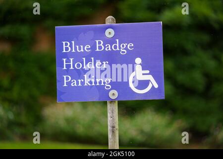 Primo piano dell'area di parcheggio segnaletica isolata per il "Blue Badge Holder Parking", all'aperto nel parco di campagna del Regno Unito. Foto Stock