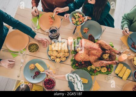 Cropped view ritratto di adorabile famiglia attento mangiare piatto fatto in casa carne autunno caduta su ordinazione pranzo a casa al coperto Foto Stock