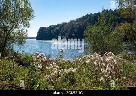 Artingly Reservoir che fa parte del South East Water in Sussex , Inghilterra , foto del Regno Unito scattate da Simon Dack Foto Stock