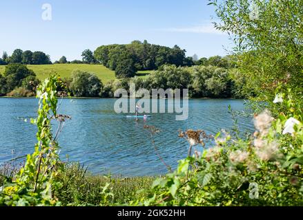 Paddle boarder su Ardingly Reservoir, che fa parte del South East Water nel Sussex , Inghilterra , Regno Unito Foto Stock