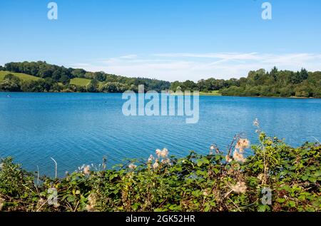 Artingly Reservoir che fa parte del South East Water in Sussex , Inghilterra , foto del Regno Unito scattate da Simon Dack Foto Stock