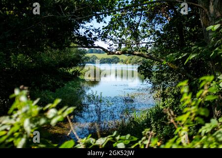 Serbatoio di Artingly che fa parte di South East Water in Sussex , Inghilterra , Regno Unito Foto Stock