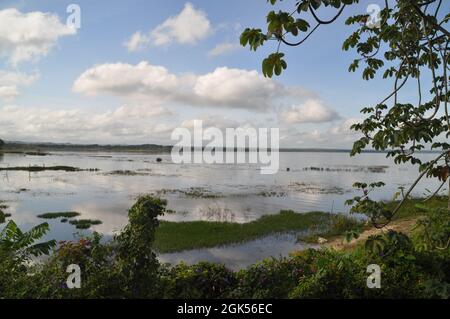 La riva del Lago Petén Itza in Guatemala. Foto Stock