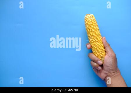 Tenere una mano di cornici dolci su sfondo blu Foto Stock