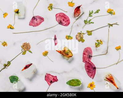 Composizione di fiori secchi e cubetti di ghiaccio con foglie e fiori congelati all'interno, su sfondo marmoreo Foto Stock