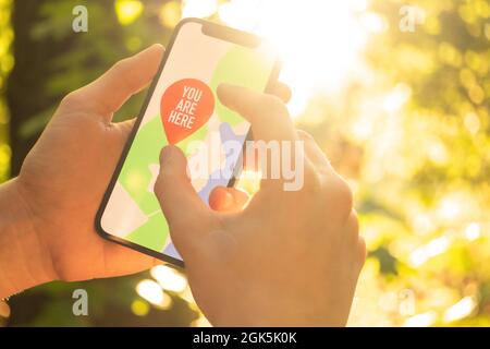 Escursionista che utilizza il telefono cellulare per la navigazione nella foresta Foto Stock