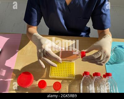 Donna in laboratorio di ricerca che osserva un pallone di coltura cellulare. Foto Stock