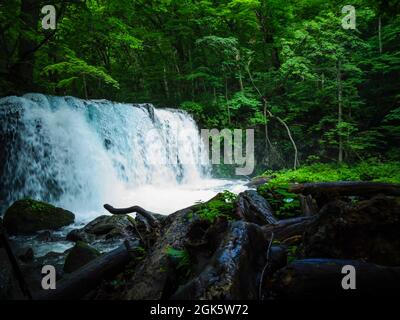 Cascate Choshi Otaki di Oirase Gorge in estate foresta verde con tronchi d'albero sul fondo del fiume a Towada, Prefettura di Aomori, Giappone Foto Stock