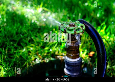 Rubinetto dell'acqua che perde con tubo flessibile che spruzza acqua su gocce d'erba spray Foto Stock