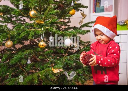 Bambina piccola che indossa il maglione rosso di natale aiuta a decorare l'albero di Natale a casa Foto Stock