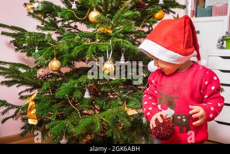 Bambina piccola che indossa il maglione rosso di natale aiuta a decorare l'albero di Natale a casa Foto Stock