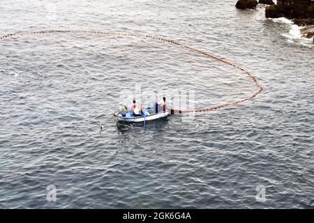 Madeira, Portogallo - Febbraio 2016: Pescatori su una piccola barca a remi che trasporta in una rete pesante da pesca Foto Stock