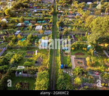 Foto aerea di mattina presto di lotti di assegnazione a York, North Yorkshire, Regno Unito Foto Stock