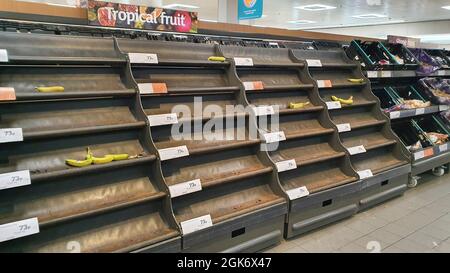 Londra, Regno Unito. 13 settembre 2021. Nel ramo Clapham High Street del supermercato Sainsbury's, le banane sciolte sono quasi completamente esaurite, anche se i sacchi di banane erano disponibili proprio dietro l'angolo. Nella sezione del raffreddatore dei latticini sono stati fatti segni speciali che attribuiscono lacune negli scaffali ad alta domanda, ma è noto che i problemi con la distribuzione si verificano a causa della carenza di driver HGV causata dalla tempesta perfetta della Brexit e dalla pandemia. Credit: Anna Watson/Alamy Live News Foto Stock