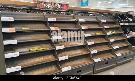 Londra, Regno Unito. 13 settembre 2021. Nel ramo Clapham High Street del supermercato Sainsbury's, le banane sciolte sono quasi completamente esaurite, anche se i sacchi di banane erano disponibili proprio dietro l'angolo. Nella sezione del raffreddatore dei latticini sono stati fatti segni speciali che attribuiscono lacune negli scaffali ad alta domanda, ma è noto che i problemi con la distribuzione si verificano a causa della carenza di driver HGV causata dalla tempesta perfetta della Brexit e dalla pandemia. Credit: Anna Watson/Alamy Live News Foto Stock