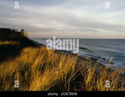 Cape Cod Marconi Beach dune di sabbia in luce invernale Foto Stock
