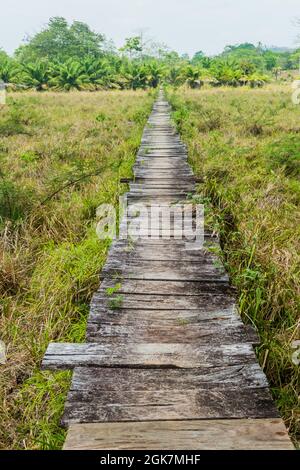 Passerella vicino al fiume San Juan, Nicaragua Foto Stock