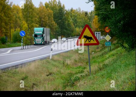 Cartello stradale segnaletico per l'attraversamento delle alci su un'autostrada in Svezia Foto Stock