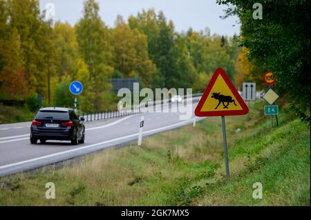 Cartello stradale segnaletico per l'attraversamento delle alci su un'autostrada in Svezia Foto Stock