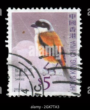 Francobollo stampato a HONG KONG, in Cina, mostra l'immagine del Long-tailed Shrike, circa 2006. Foto Stock