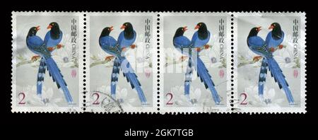 4 PCS SET Stamp stampato in Cina mostra l'immagine degli Uccelli, circa 2016. Foto Stock