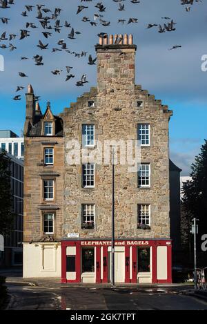 Sole mattutino e passerelle di piccioni su Elefanti e bagel, caffè al piano terra all'angolo tra Nicolson Square e Marshall St., Edimburgo. Foto Stock