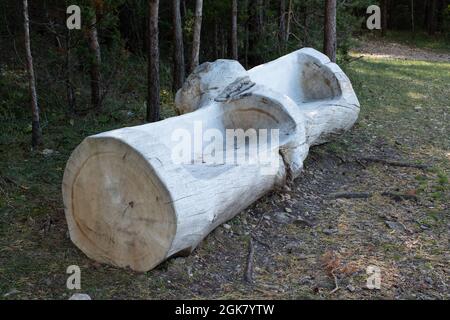 Sedili scolpiti in un log Foto Stock