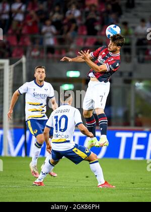 Renato Dall&#39;Stadio Ara, Bologna, 13 settembre 2021, Header di Riccardo Orsolini (Bologna) ostacolato da Nicola Sansone (Bologna) durante il Bologna FC vs Hellas Verona FC - Campionato Italiano di calcio A partita Foto Stock