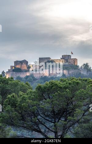 Vecchio castello di pietra con bandiera della catalogna sulla cima di una montagna al crepuscolo illuminato con luce artificiale e cielo con nuvole grigie. Fuori fuoco pino tre Foto Stock