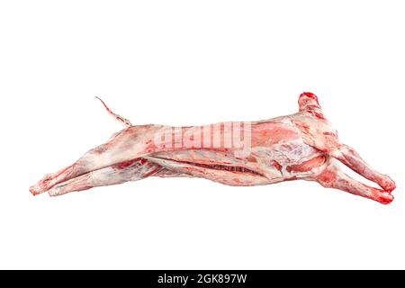 Carcassa di agnello su tavola di taglio in macelleria. Carcassa di pecora. Carne cruda. Spazio libero per il testo. Isolato su sfondo nero. Foto Stock