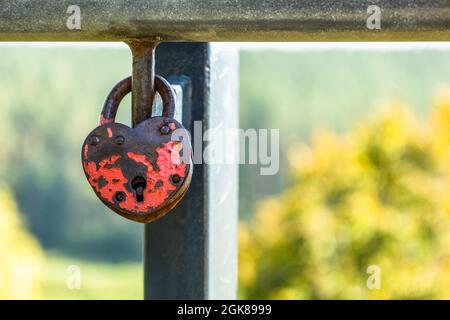 Lucchetto a forma di cuore appiccato sulle rotaie tra gli altri lucchetti variegati Foto Stock