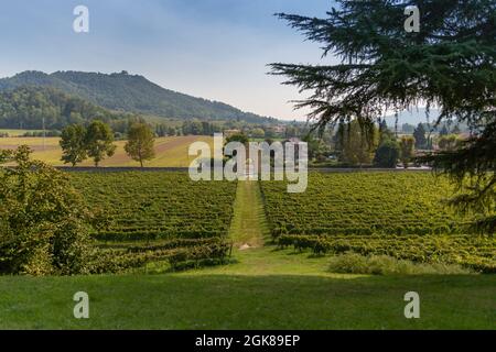 LUVIGLIANO DI TORREGLIA, ITALIA - 11 SETTEMBRE 2021: Villa dei Vescovi raffinata ed elegante residenza rurale seicentesca Vista dei vigneti Foto Stock